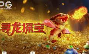 星空体彩app正式版