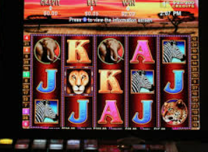 星空体彩app桌面版客户端