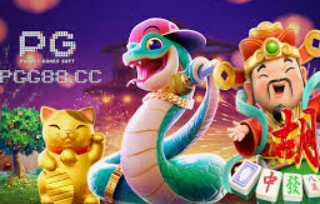 星空体彩app最新版